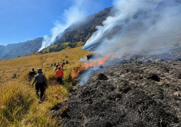 Kebakaran Hutan Bromo Meluas hingga Perbatasan Probolinggo, Luas Area Terbakar Capai Lebih dari 10 Hektare