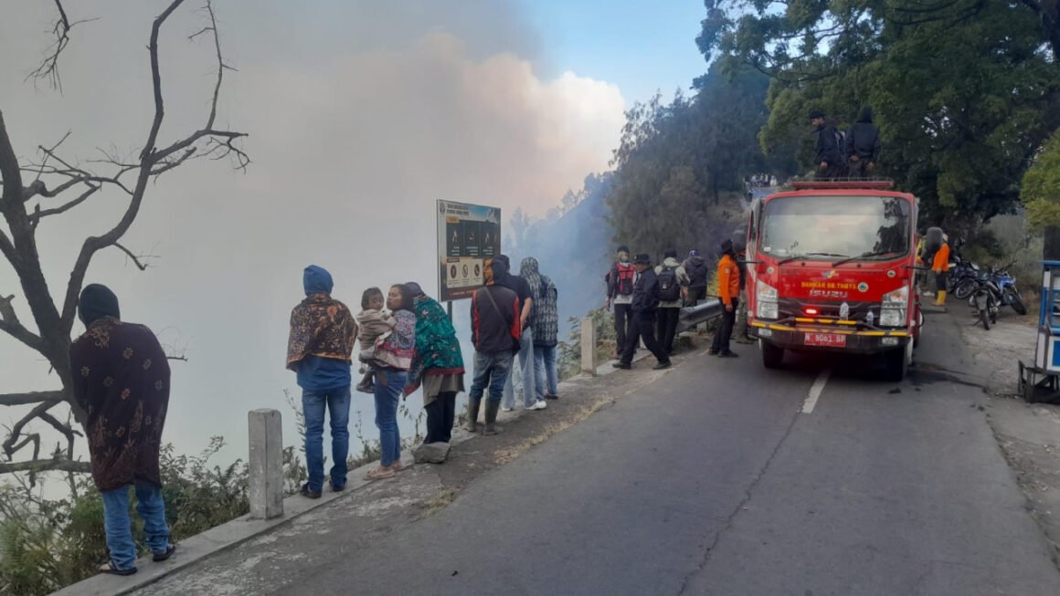 Pemkab Probolinggo Tutup Sementara Jalur TNBTS via Sukapura, Ini Penyebabnya