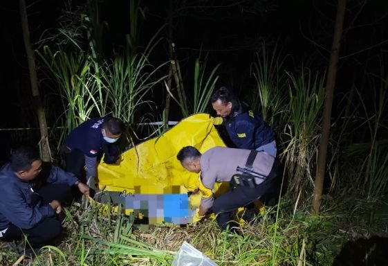 Kakek 83 Tahun Ditemukan Tewas di Ladang Tebu Probolinggo, Polisi Lakukan Penyelidikan