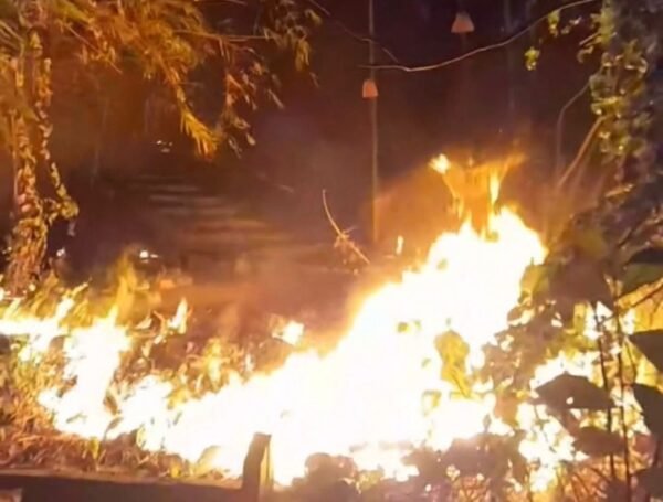 Api Berkobar di Perbukitan Giri Kedaton Gresik, Dua Mobil Damkar Diterjunkan